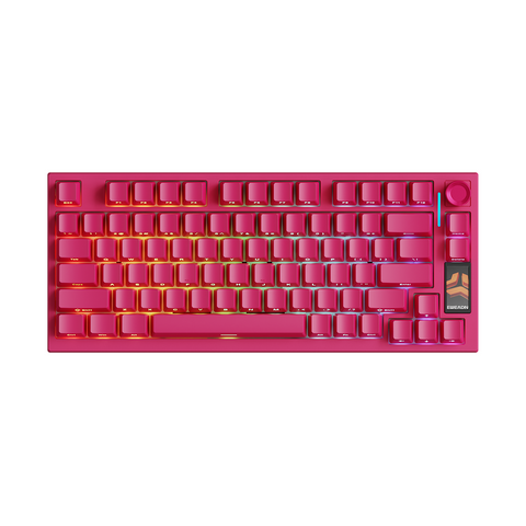 EWEADN X75V2