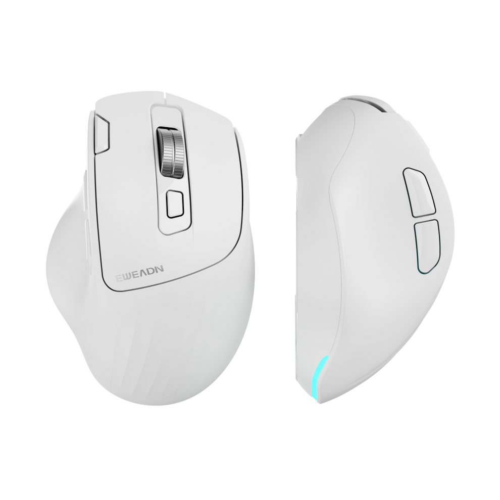Eweadn C2 Mouse