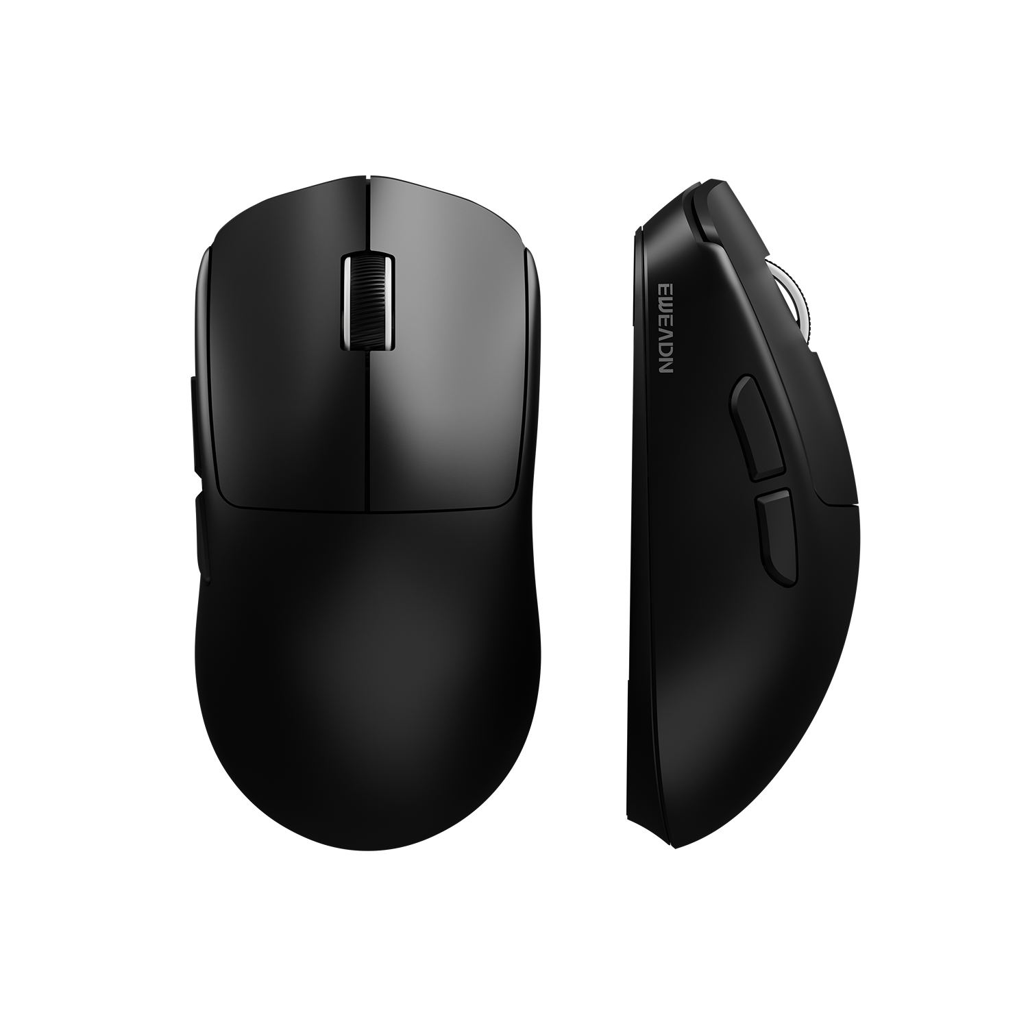 MOUSE – EWEADN